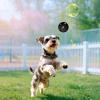 Dog Treat Ball - Interactive Rubber Toy view 4