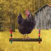Chicken Coop Swing - Wooden Hanging Toy for Poultry view 3