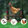 Chicken Coop Swing - Wooden Hanging Toy for Poultry view 4