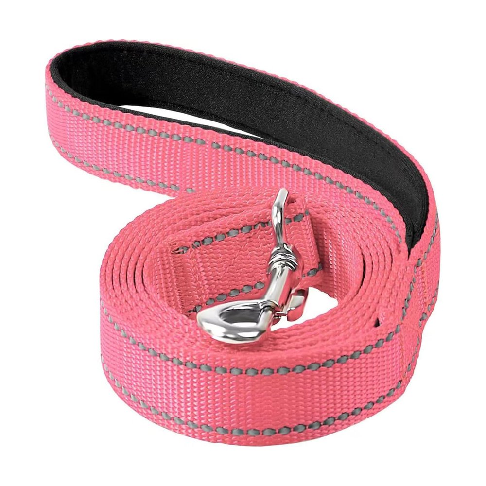 Durable Reflective Nylon Dog Leash for Medium and Large Dogs