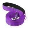 Durable Reflective Nylon Dog Leash for Medium and Large Dogs view 3
