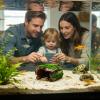 Log-Shaped Reptile Habitat Cave Terrarium Decor view 2