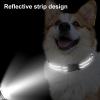 Reflective Dog Collar, Nylon, Adjustable Fit view 2