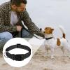 Reflective Nylon Dog Collar with Metal D-Ring, Adjustable Fit view 2