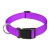 Reflective Nylon Dog Collar with Metal D-Ring, Adjustable Fit view 4