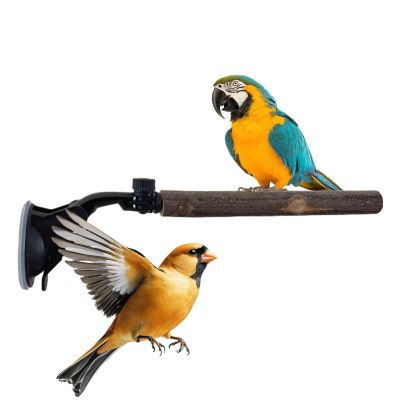 Portable Bird Perch with Suction Cup for Bathing and Travel