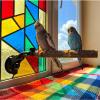Adjustable Bird Stand - Perch for Travel Bath view 4