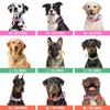 Adjustable Tactical Dog Collar with Handle and Quick Release Metal Buckle view 4