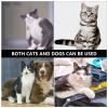 STOBAZA Modern Ceramic Pet Bowl Set view 4