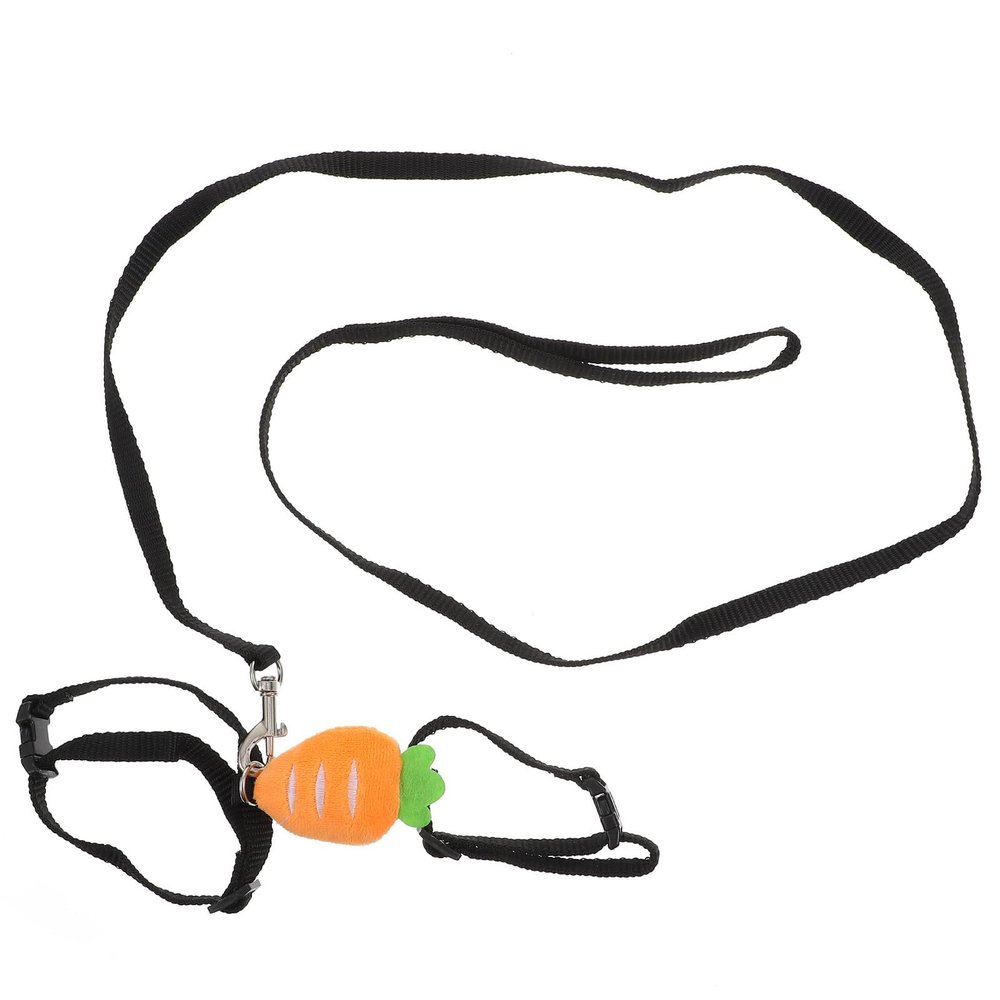 Artibetter Rabbit Leash