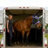 Fly Mask | Thin Protective Head Cover for Horses view 3