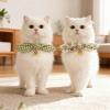 APGLSXY Stylish Dog Collar with Flower Pendant view 4