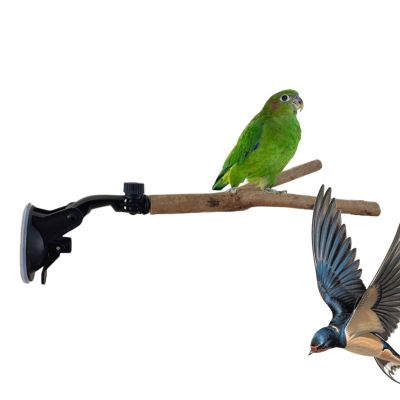 Bird Perch with Suction Cup for Parrots