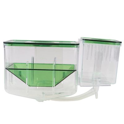 TOYANDONA Acrylic Breeding Tank for Small Fish and Shrimp, Green