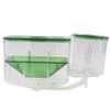 TOYANDONA Acrylic Breeding Tank for Small Fish and Shrimp, Green view 1