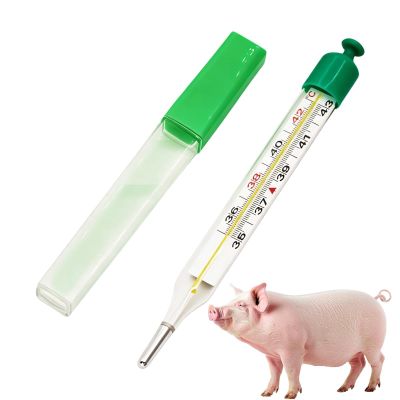 Waterproof Dual-Scale Dog Thermometer