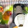 Heat Lamp Shade Accessory view 4