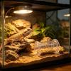 Reptile Feeding Bowl, Rolling Cylinder view 3