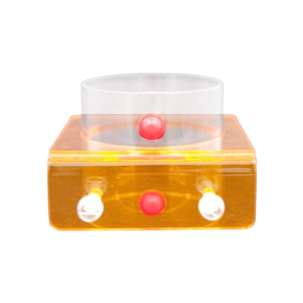 Fish Feeding Ring - Fluorescent Decorative Feeder