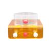Fish Feeding Ring - Fluorescent Decorative Feeder view 1