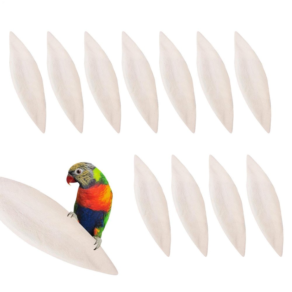 Cuttlebone for Turtles, 12 Pieces, Natural Chew Toy