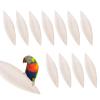 Cuttlebone for Turtles, 12 Pieces, Natural Chew Toy view 1