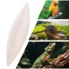 Cuttlebone for Turtles, 12 Pieces, Natural Chew Toy view 4