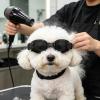 Sunglasses for Small Dogs view 2