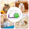 Camera-Shaped Hamster & Chinchilla Carrier view 4