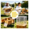 Lizeboyi Bee Escape, 10-Piece Beekeeping Tool Set view 4