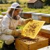 Bee Escapes for Beehives, 10-Pack, Easy Installation view 2