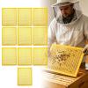 Bee Escapes for Beehives, 10-Pack, Easy Installation view 3