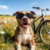 Wusideday Dog Sunglasses view 3