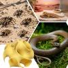 Generic Hideout for Reptiles view 4