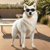 Foldable Dog Sunglasses for Puppies view 3