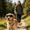 Small Dog Sunglasses with UV Filter view 3