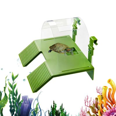 Qixeuoa Turtle Ramp