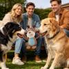 Plush Dog Toy for Puppies view 2