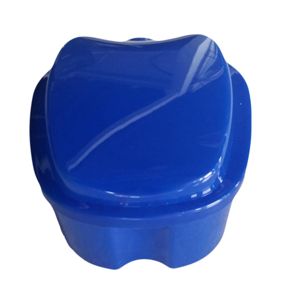 Warmhm Plastic Denture Containers, 2-Pack, Random Color, with Strainer and Hinge, Portable Storage Box, Blue