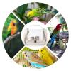 Bird Travel Carrier Bag with Perch view 4