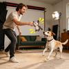 Interactive Puppy Tug Toy with Squeaker view 2