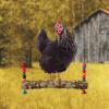 Generic Chicken Toy for Coop with Bell and Wooden Stand view 3