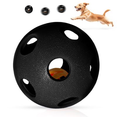 Dog Treat Ball