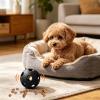 Dog Treat Ball view 3