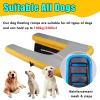 Inflatable Dog Ramp for Water Access, High-Visibility Floating Platform view 4