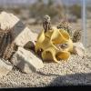 Reptile Hideout: 3D-Printed Habitat Shelter view 3