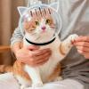 Oxxggkao Pet Cat Space Helmets view 2
