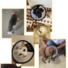 Abaodam 5-Piece Adjustable Pet Protective Collars for Cats and Dogs view 3