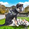 Abaodam 5-Piece Adjustable Pet Protective Collars for Cats and Dogs view 4