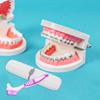 Travel Toothbrush for Dentures with Double-Sided Bristles, 2-Piece view 4